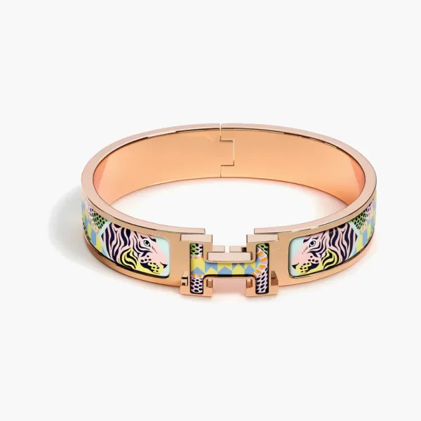 Hermès Clic Bangles Multicolor