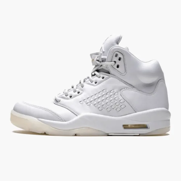 Air Jordan 5 Retro Prem Pure Platinum