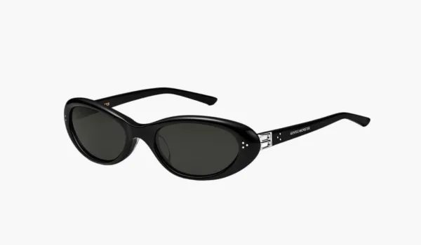 Gentle Monster Cinnamon 01 Sunglasses Black