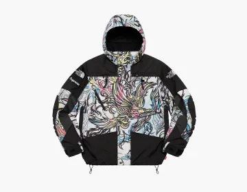 Supreme x The North Face Steep Tech Apogee Jacket Multicolor Dragon