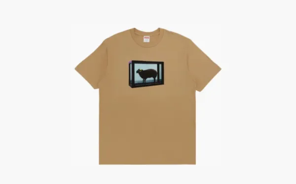 Supreme x Damien Hirst Tee Khaki