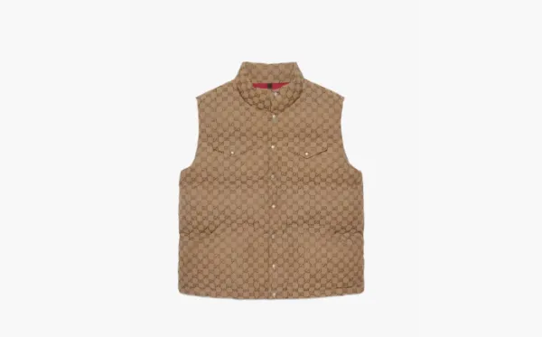 Gucci x The North Face Down Vest Beige/Ebony
