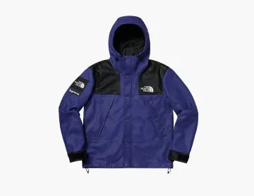 Supreme x The North Face Leather Mountain Parka Royal