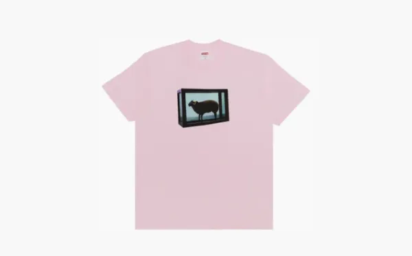 Supreme x Damien Hirst Tee Light Pink