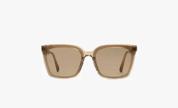 Gentle Monster TEGA BRC1 Oversized Frame Sunglasses Brown