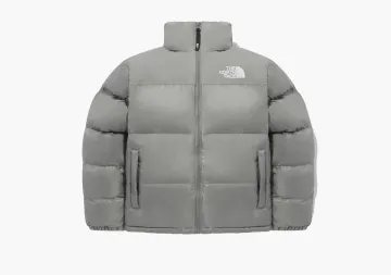 The North Face Nuptse On Ball Jacket Gray
