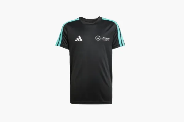 Adidas Mercedes Amg Petronas Formula Team Dna T-Shirt Black/White