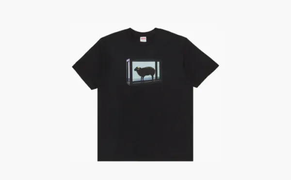 Supreme x Damien Hirst Tee Black