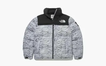 The North Face White Label Novelty Nuptse Down Jacket Silver