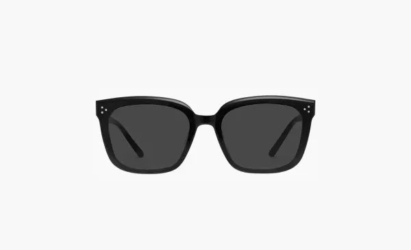 Gentle Monster Dear 01 Sunglasses Black