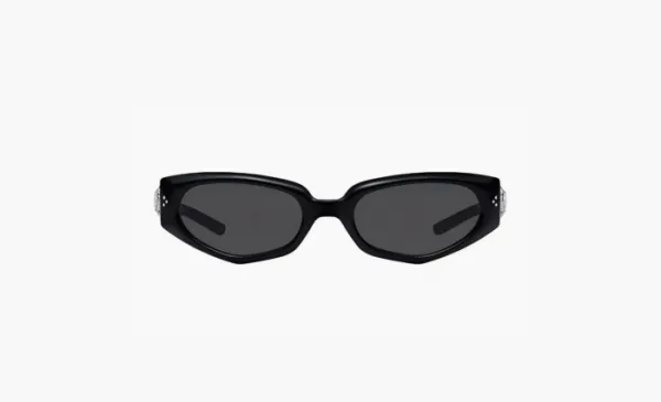 Gentle Monster Plastic Frame Cat Eye Sunglasses Unisex Black