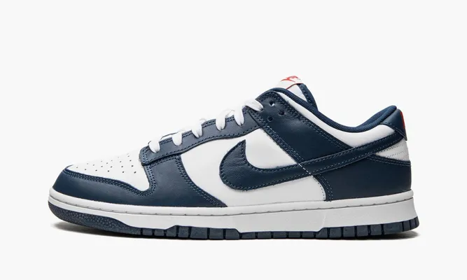 Кроссовки Nike Dunk Low «Valerian Blue» белый, синий