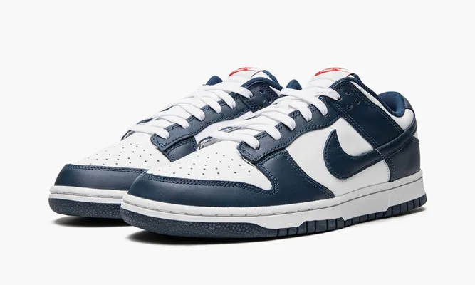 Кроссовки Nike Dunk Low «Valerian Blue» белый, синий