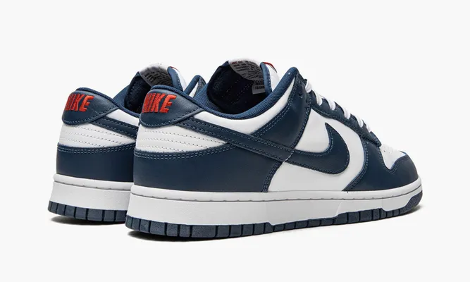 Кроссовки Nike Dunk Low «Valerian Blue» белый, синий
