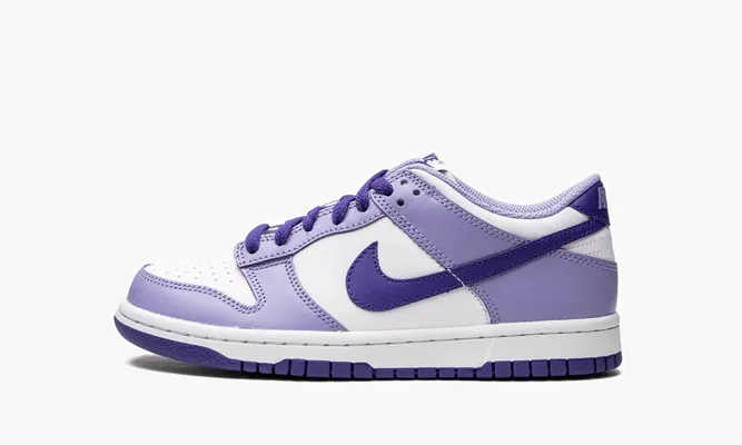 Кроссовки Nike Dunk Low GS «Blueberry» белый