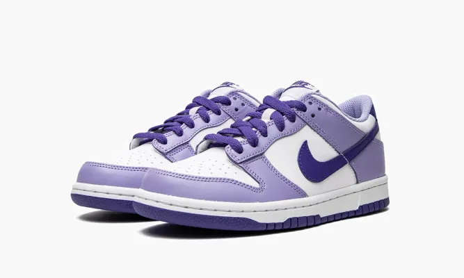 Кроссовки Nike Dunk Low GS «Blueberry» белый