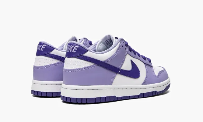 Кроссовки Nike Dunk Low GS «Blueberry» белый