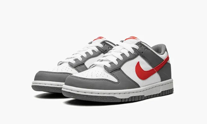 Кроссовки Nike Dunk Low Next Nature GS «Smoke Grey» серый