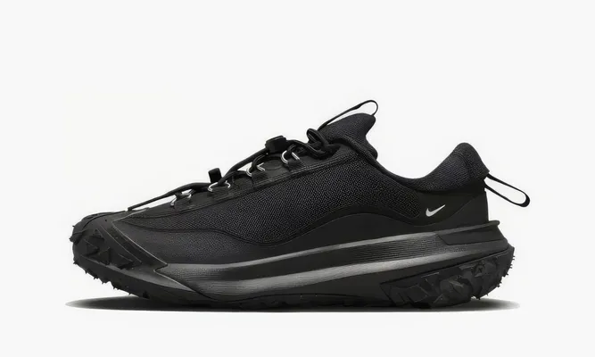 Кроссовки Nike Comme Des Garçons X Acg Mountain Fly Low «Black» черный
