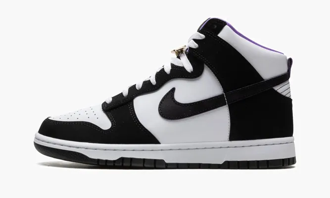 Кроссовки Nike Dunk High «World Champ» черный