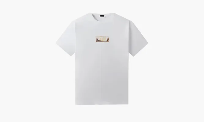 Одежда KITH X Columbia Landscape Classic Logo Tee «Stone» белый