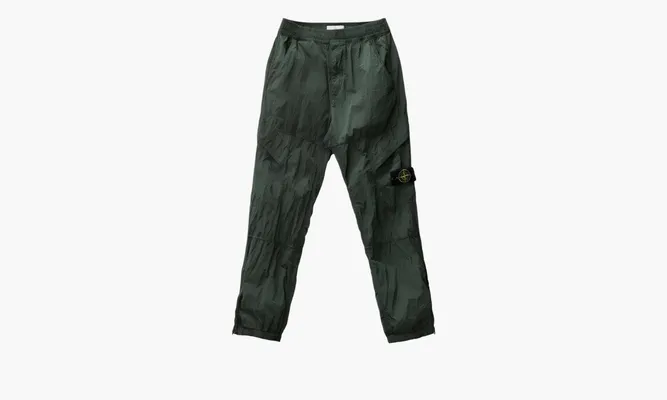Одежда Stone Island Pants «Green» зеленый
