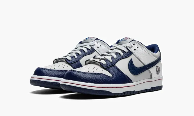 Кроссовки Nike Dunk Low «Nba 75th Anniversary Brooklyn Nets» серый