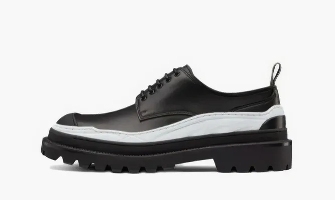 Кроссовки Sacai X Dior «Black White» черный
