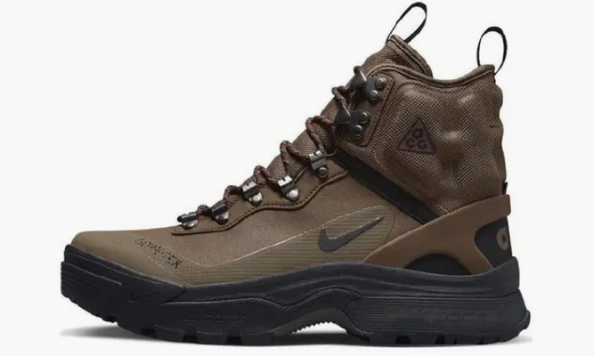 Кроссовки Nike Acg Air Zoom Gaiadome Gtx Brown коричневый