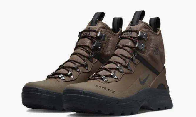 Кроссовки Nike Acg Air Zoom Gaiadome Gtx Brown коричневый
