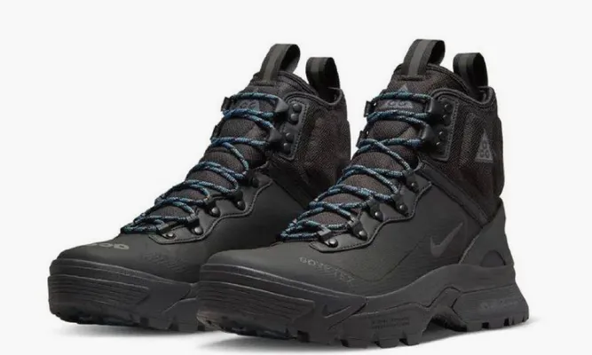 Кроссовки Nike Acg Air Zoom Gaiadome Gtx Black черный