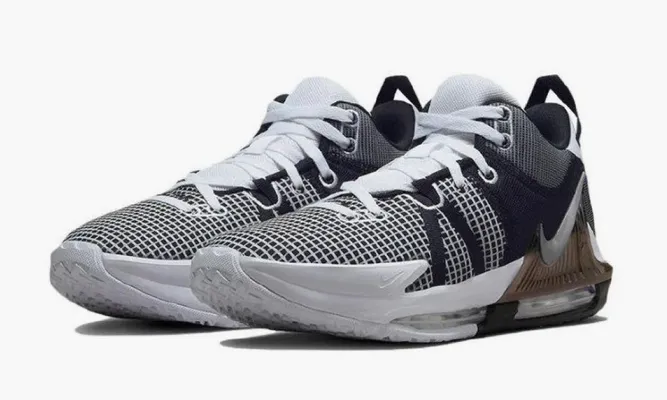 Для баскетбола Nike Lebron Witness 7 White Black Metallic Silver серый