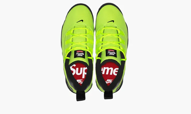 Кроссовки Nike Supreme X SB Air Darwin Low «Green» зеленый