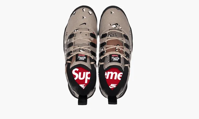 Кроссовки Nike Supreme X SB Air Darwin Low «Grey» серый