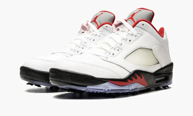 Кроссовки Air Jordan 5 Low белый