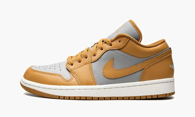 Кроссовки WMNS Air Jordan 1 Low «Chutney» CEMENT GREY/CHUTNEY