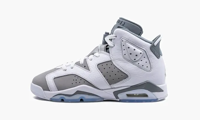 Кроссовки Air Jordan 6 GS «Cool Grey» белый