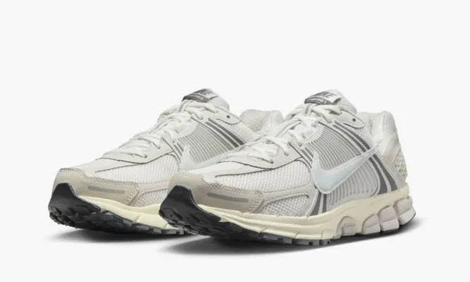 Кроссовки Nike Zoom Vomero 5 Platinum Tint серый