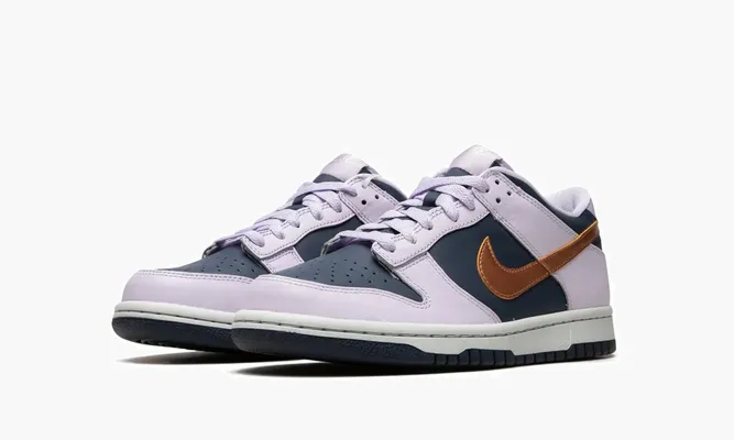 Кроссовки Nike Dunk Low SE «Copper Swoosh» синий