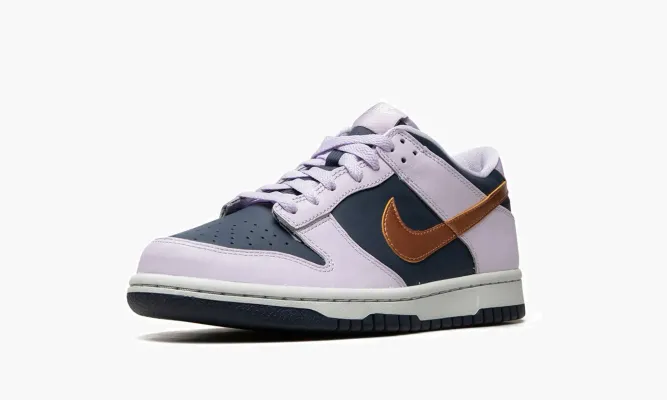 Кроссовки Nike Dunk Low SE «Copper Swoosh» синий