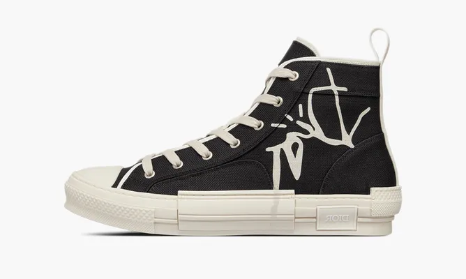 Кроссовки Dior B23 Cactus Jack «Black» черный