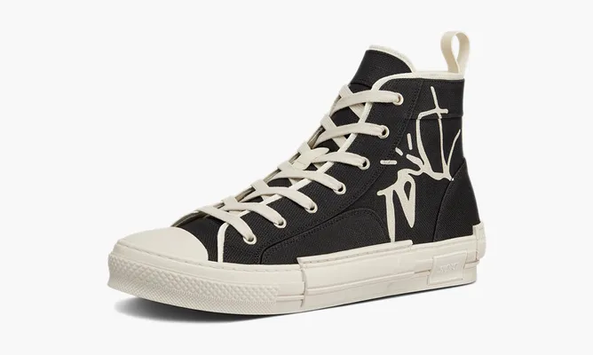 Кроссовки Dior B23 Cactus Jack «Black» черный
