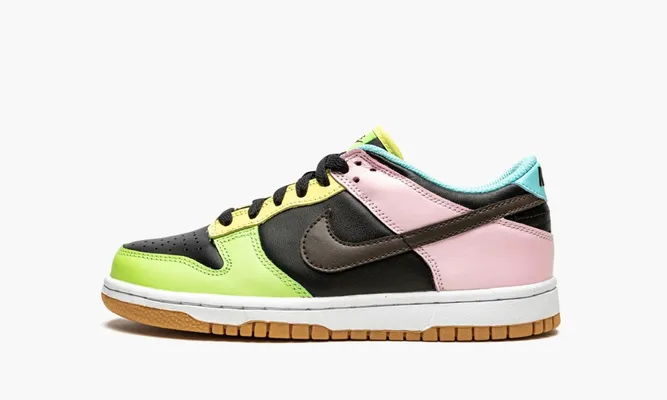 Кроссовки Nike Dunk Low GS «Free 99 Black» разноцветный