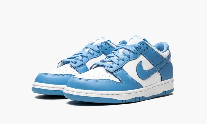 Кроссовки Nike Dunk Low GS «Unc» lightBlue