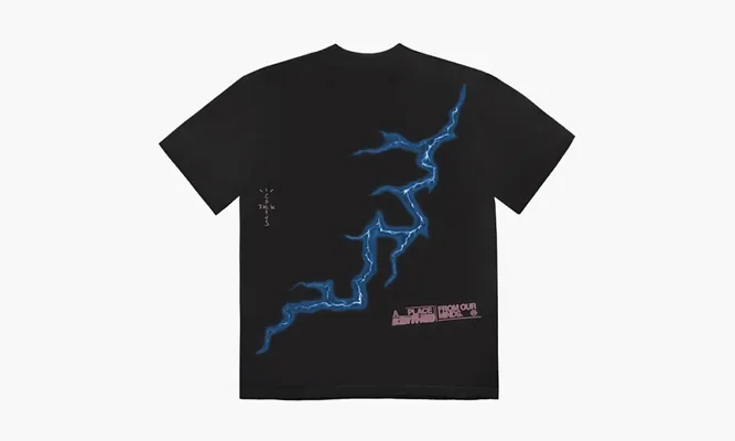 Одежда Travis Scott Cactus Jack X Fragment Danger Tee «Washed Black» черный