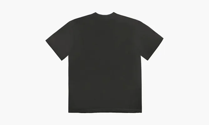 Одежда Travis Scott Cactus Jack X Fragment Pink Sunrise T-shirt «Washed Black» черный