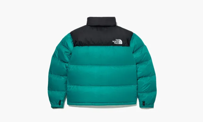 Одежда The North Face 1996 Eco Nuptse Jacket «Jade» зеленый