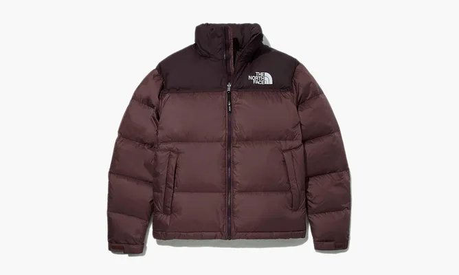 Одежда The North Face 1996 Eco Nuptse Jacket «Brown» коричневый