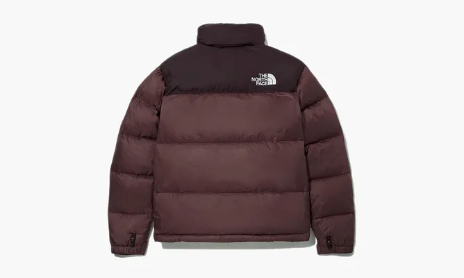 Одежда The North Face 1996 Eco Nuptse Jacket «Brown» коричневый