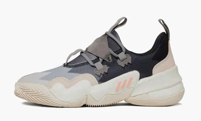 Для баскетбола Adidas Trae Young 1 «White Grey Purple» кремовый